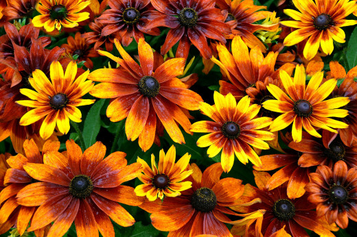 769027 (a): :2048x1360